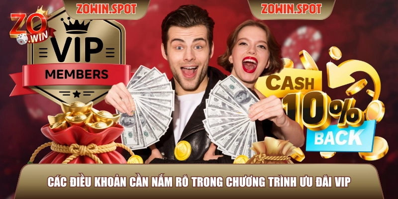 Các điều khoản cần nắm rõ trong chương trình ưu đãi VIP