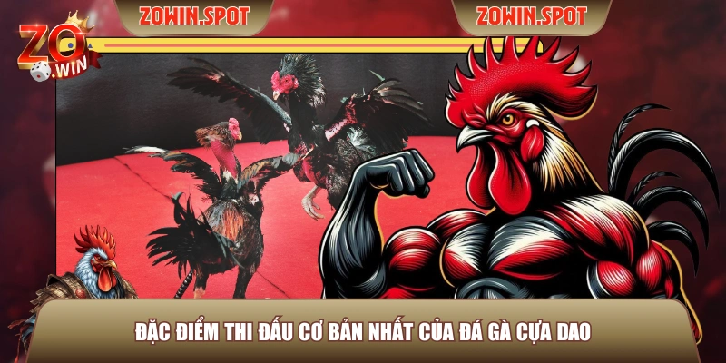 Đặc điểm thi đấu cơ bản nhất của đá gà cựa dao