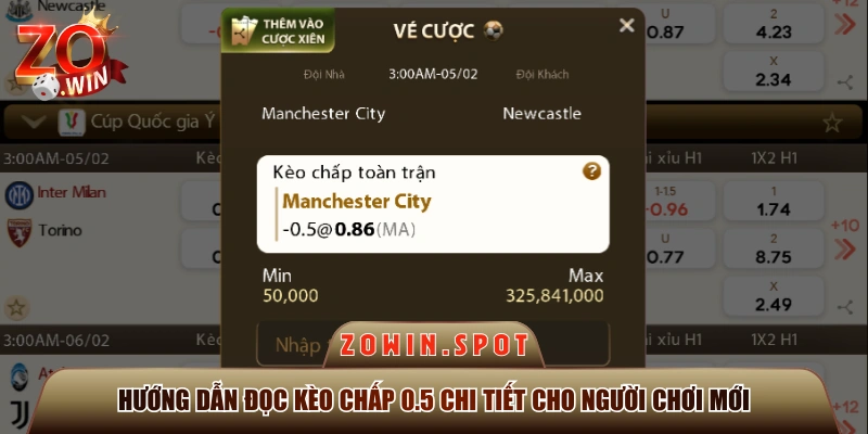 Hướng Dẫn Đọc Kèo Chấp 0.5 Chi Tiết Cho Người Chơi Mới