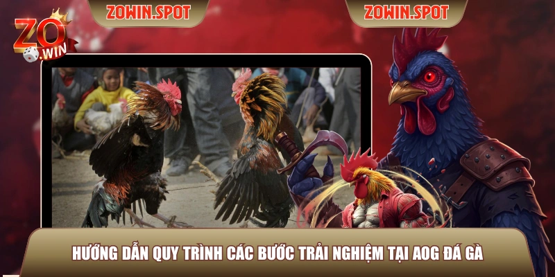 Hướng dẫn quy trình các bước trải nghiệm tại AOG Đá Gà