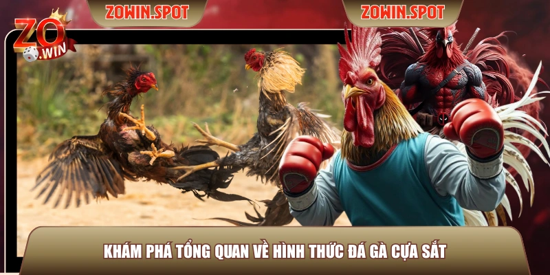 Khám phá tổng quan về hình thức đá gà cựa sắt