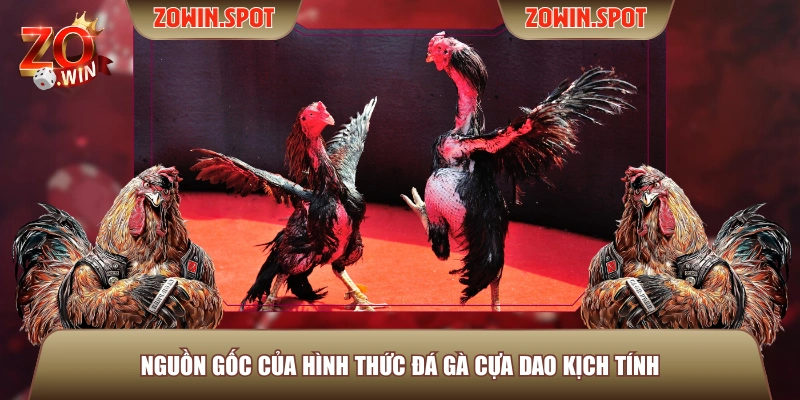 Nguồn gốc của hình thức đá gà cựa dao kịch tính