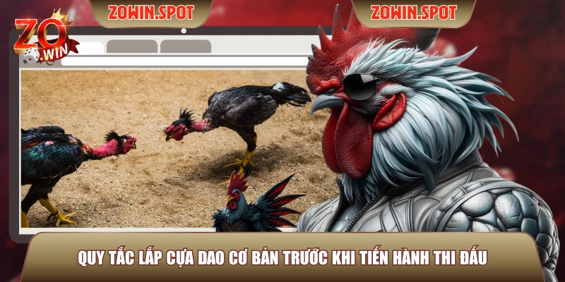 Quy tắc lắp cựa dao cơ bản trước khi tiến hành thi đấu