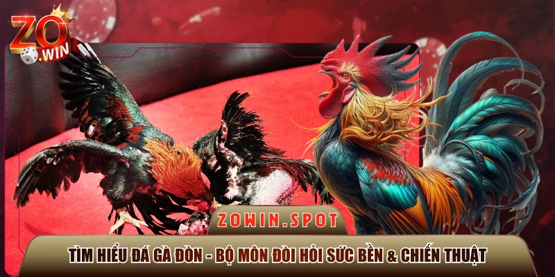 Tìm Hiểu Đá Gà Đòn - Bộ Môn Đòi Hỏi Sức Bền & Chiến Thuật