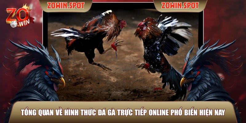 Tổng quan về hình thức đá gà trực tiếp online phổ biến hiện nay