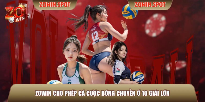 ZOWIN cho phép cá cược bóng chuyền ở 10 giải lớn